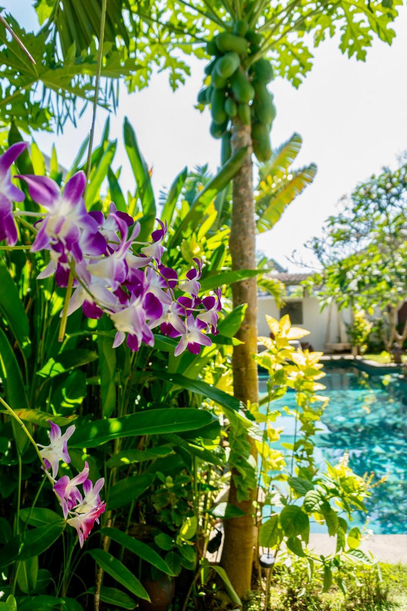 Damai Uluwatu Exterior foto
